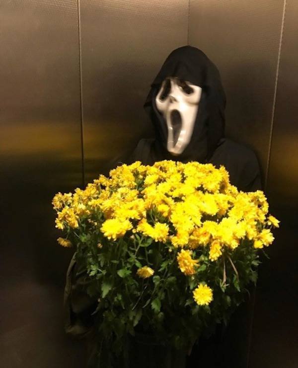 What Is Going On Here? (48 pics)