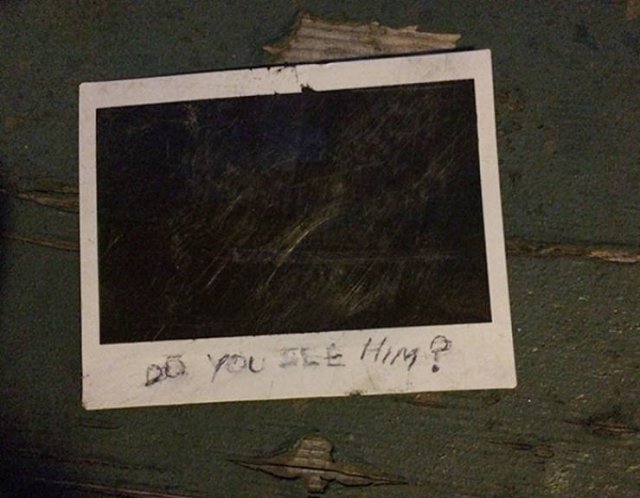 Unexpected Finds In Houses (36 pics)