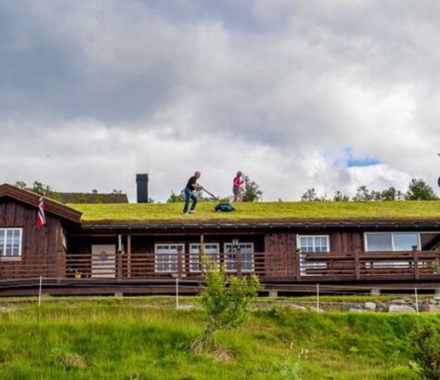 Interesting Facts About Norway (15 pics)