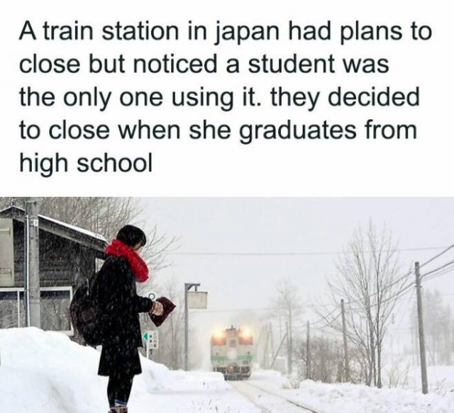 A Little Bit About Japan (39 pics)