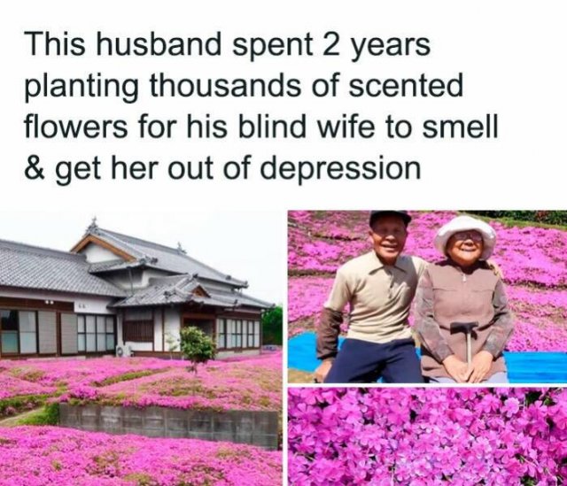 A Little Bit About Japan (39 pics)