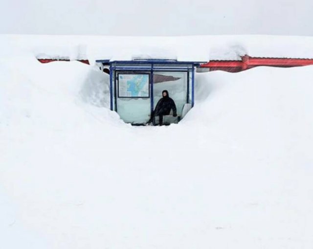 Interesting Facts About Norway (15 pics)