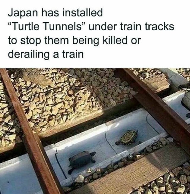 A Little Bit About Japan (39 pics)