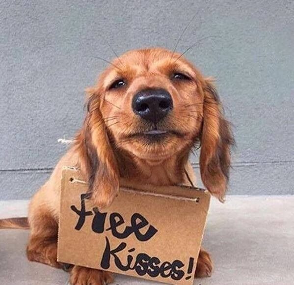 Good Boys (29 pics)