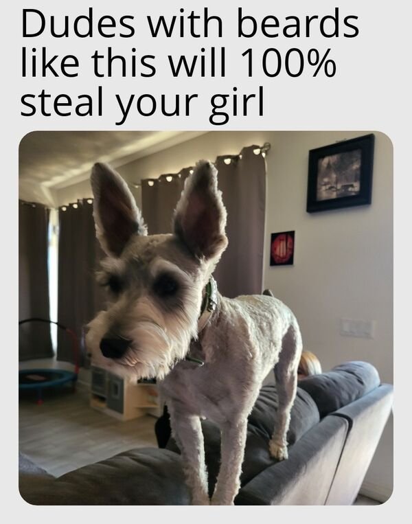 Good Boys (29 pics)