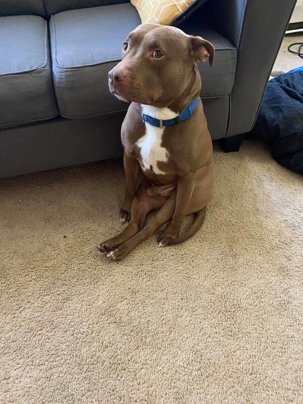 Good Boys (29 pics)