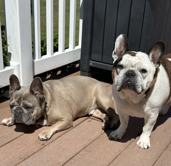 Good Boys (29 pics)