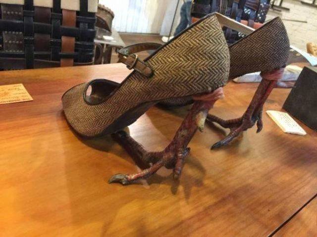 What Is Going On Here? (57 pics)