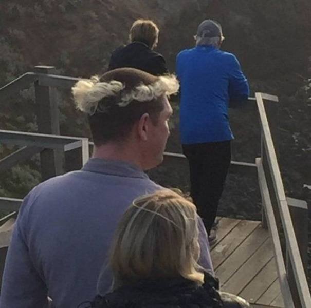 What Is Going On Here? (57 pics)