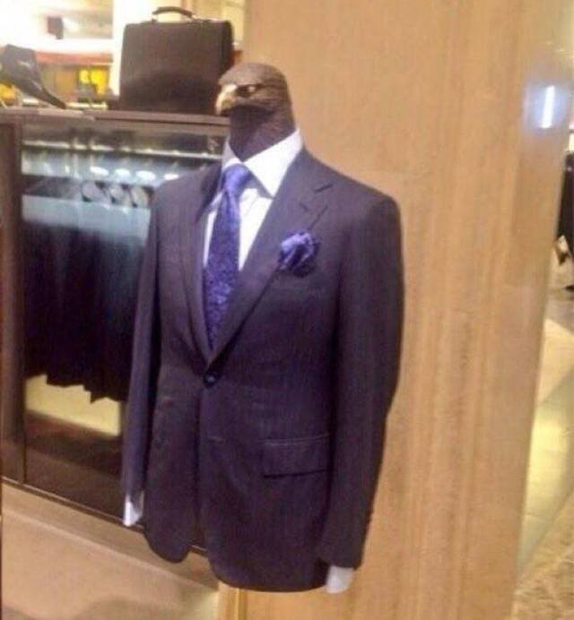 What Is Going On Here? (57 pics)
