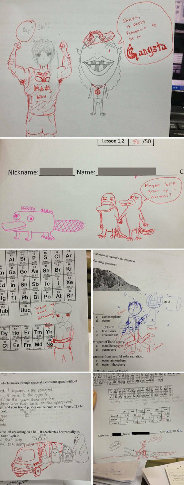 Funny Grades From Teachers (30 pics)