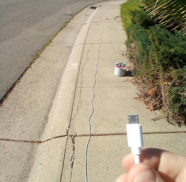 Unusual Finds (18 pics)