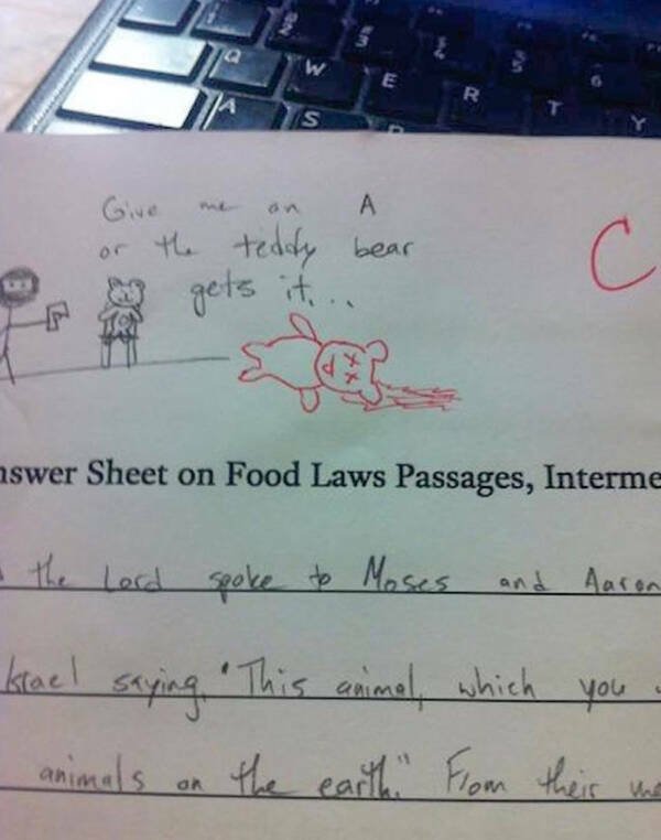 Funny Grades From Teachers (30 pics)