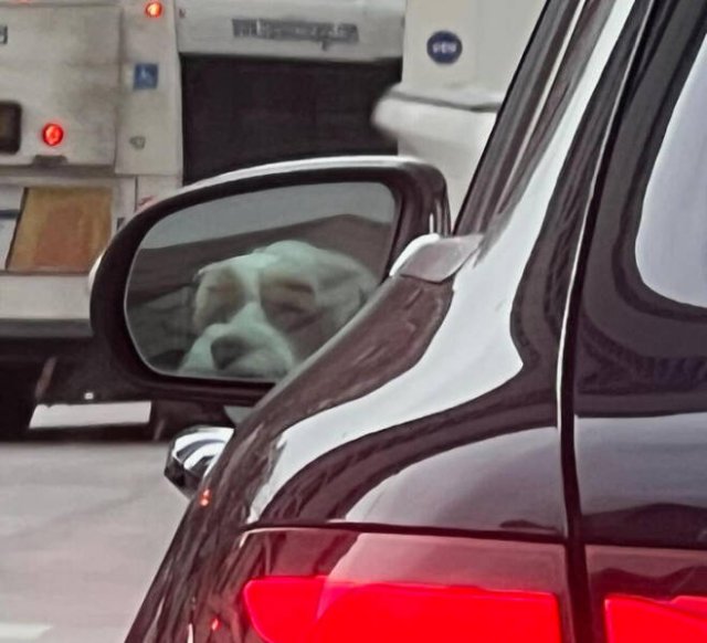 Unexpected Coincidences (27 pics)