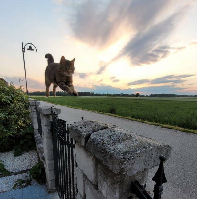 Unexpected Coincidences (27 pics)