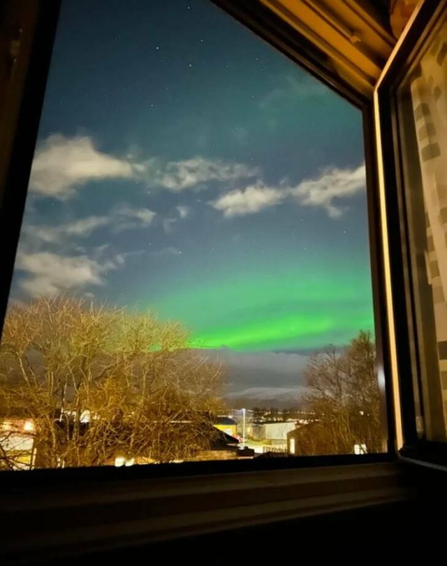 Amazing Nature (31 pics)