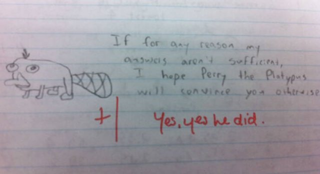 Funny Grades From Teachers (30 pics)