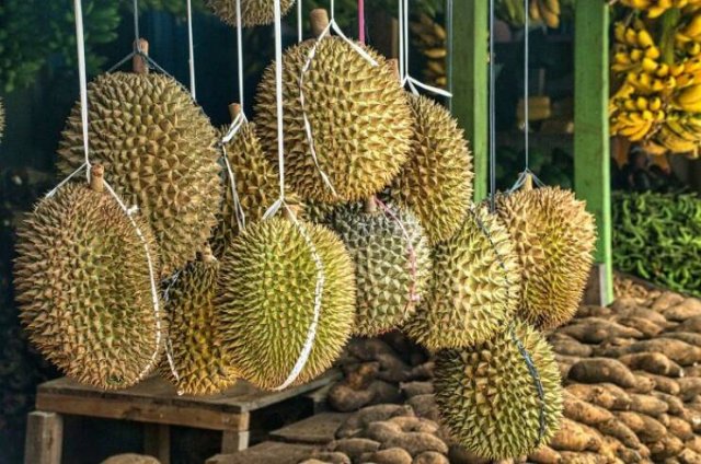 Strange And Unusual Bans In Different Countries (33 pics)