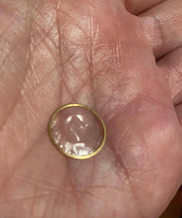 What Are These Things? (30 pics)