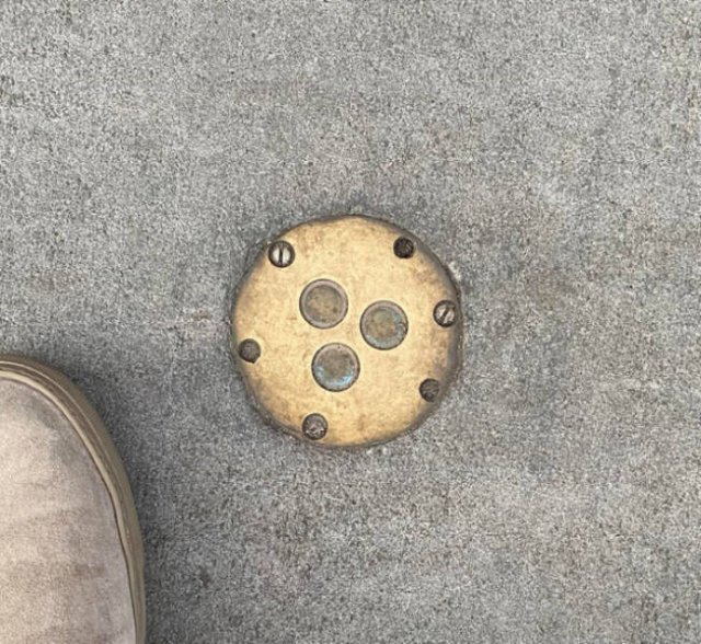 What Are These Things? (30 pics)