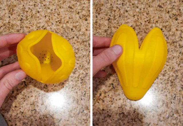 What Are These Things? (30 pics)
