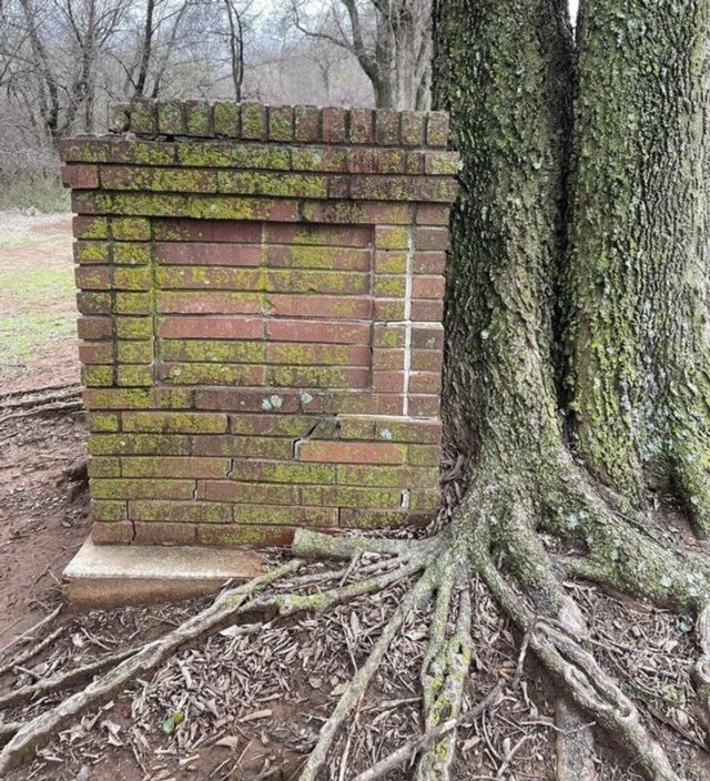 What Are These Things? (30 pics)