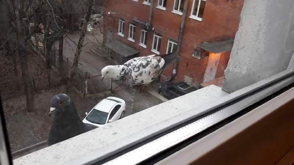 Interesting Finds (18 pics) Interesting Finds (18 pics)