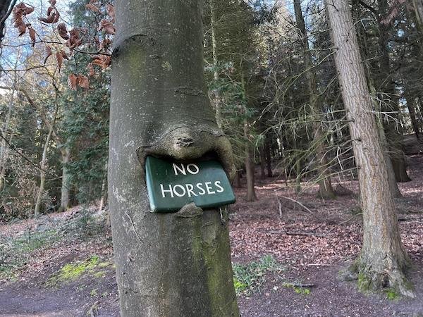 Interesting Finds (18 pics) Interesting Finds (18 pics)