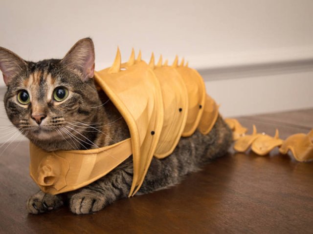 Funny Cats In Battle Armor (21 pics)