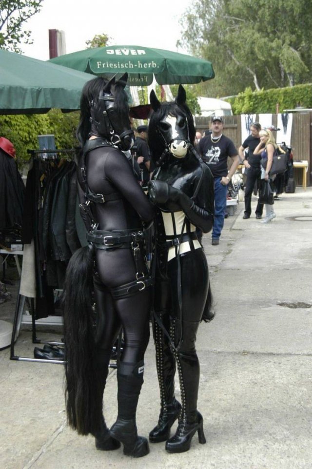 What Is Going On Here? (50 pics)