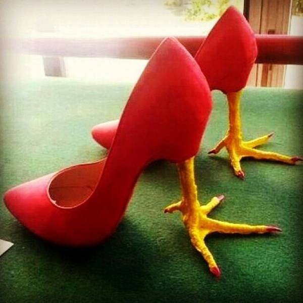 Strange Finds And Situations (55 pics)