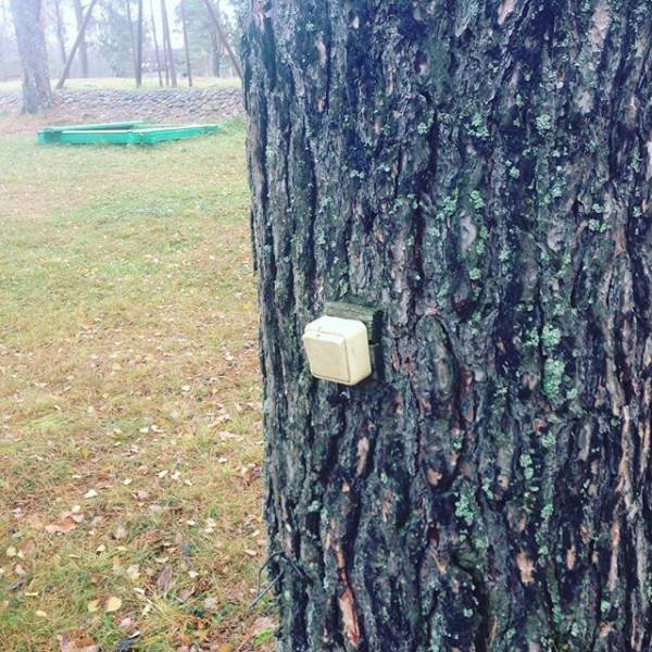 Strange Photos From Russia (40 pics)