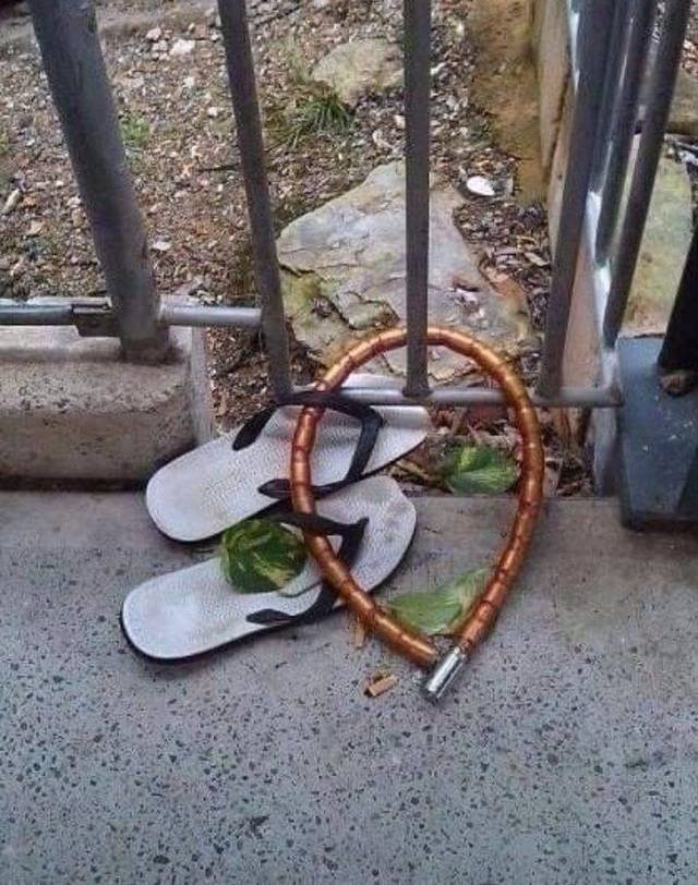Strange Finds And Situations (55 pics)