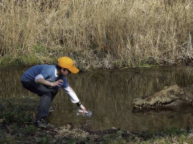 What Is Going On Here? (50 pics)