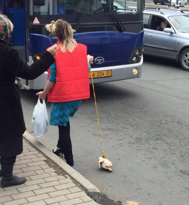 Strange Photos From Russia (40 pics)