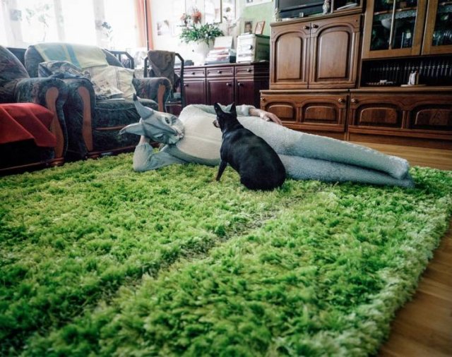 What Is Going On Here? (50 pics)