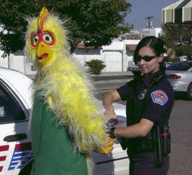 What Is Going On Here? (50 pics)