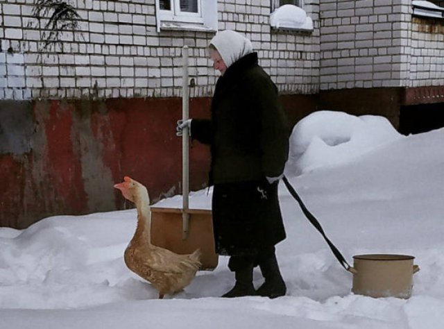 Strange Photos From Russia (40 pics)
