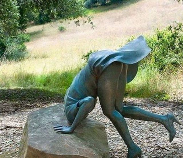 What Is Going On Here? (50 pics)