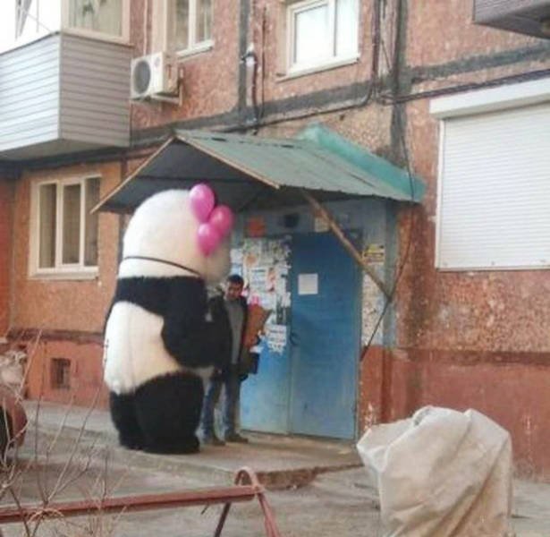 Strange Photos From Russia (40 pics)