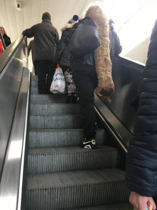 What Is Going On Here? (50 pics)