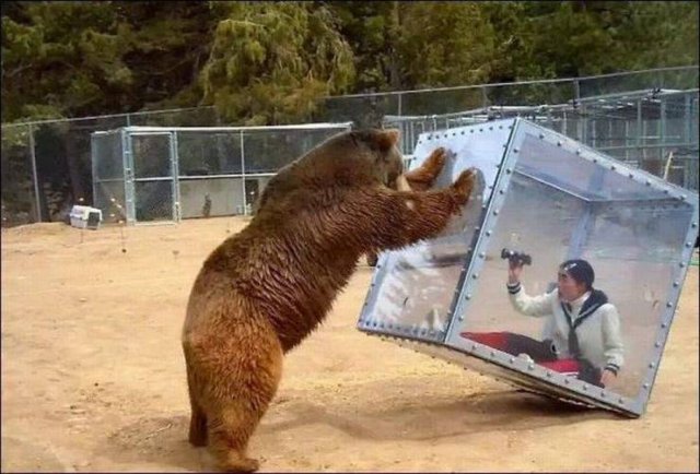 What Is Going On Here? (50 pics)