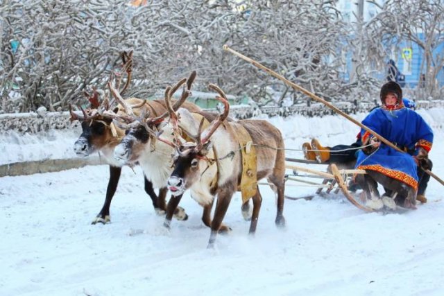 Strange Photos From Russia (40 pics)