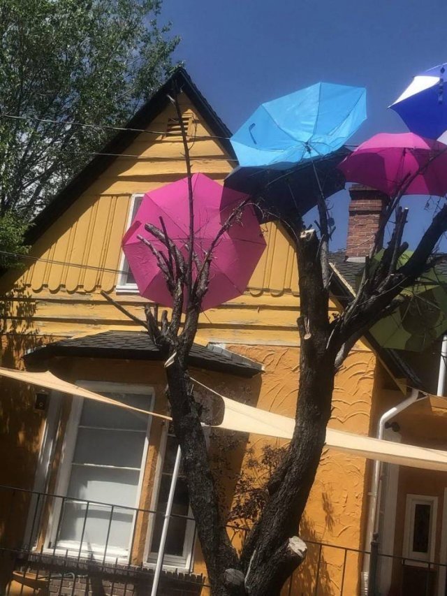 What Is Going On Here? (50 pics)