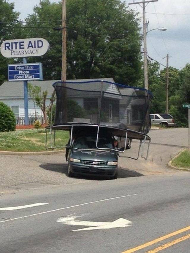 Strange Finds And Situations (55 pics)