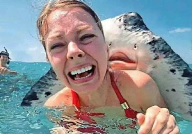 Strange Photos From Around The World (43 pics)