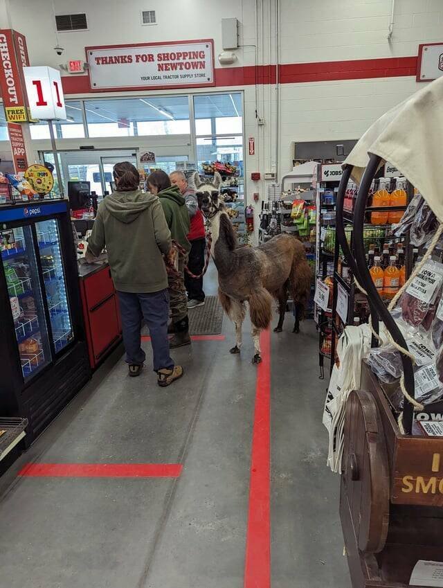 Awesome And Unusual Finds (39 pics) Awesome And Unusual Finds (39 pics)