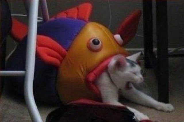 Strange Photos From Around The World (43 pics)