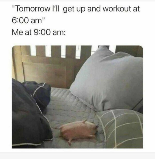 Funny Memes (47 pics)