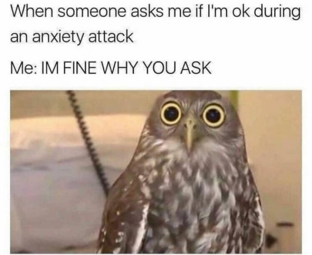 Funny Memes (47 pics)